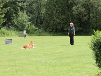 Bendix und das Boxband (77)